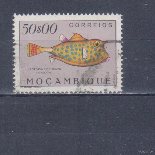 [511] Португальский Мозамбик 1951. Фауна.Рыба.50 э. Концовка серии. Гашеная марка. Кат.гаш.15 е.