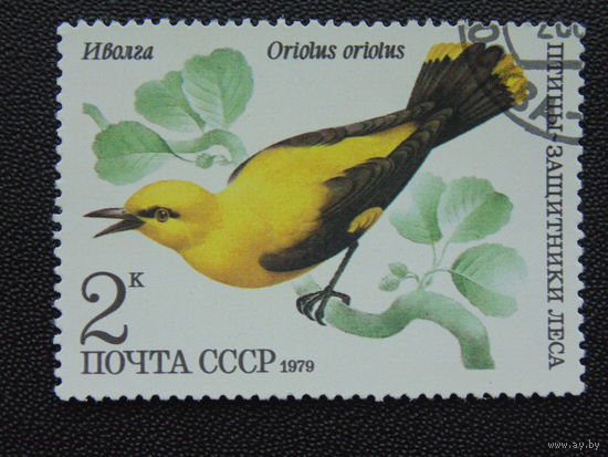 СССР 1979 г. Иволга.