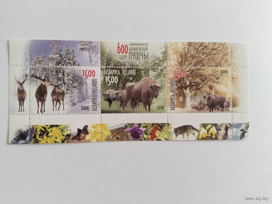 Беларусь 2009 бл  600 лет Беловежской пуще
