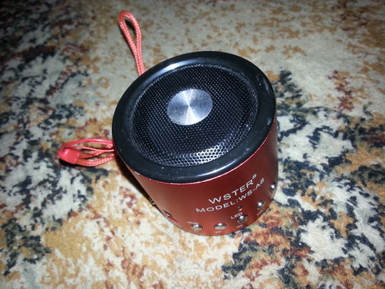 Мини колонка WSTER WS A8