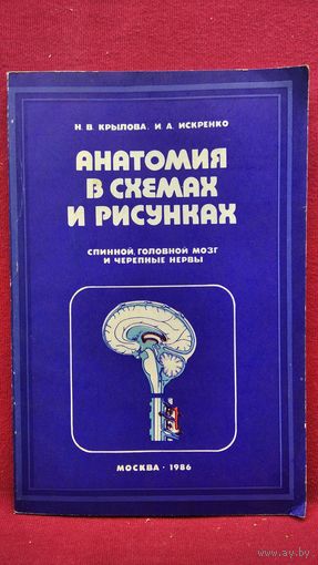 Н.В. Крылова и др. Анатомия в схемах и рисунках (спинной, головной мозг и черепные нервы)