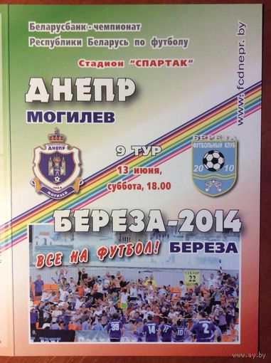 ДНЕПР Могилев - БЕРЕЗА-2010 13.06.2015