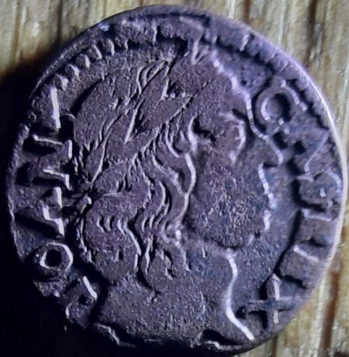 БОРАТИНКА 1660 ГОД