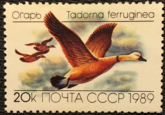 ЦІКАВІЦЬ АБМЕН! 1989, агар (20)