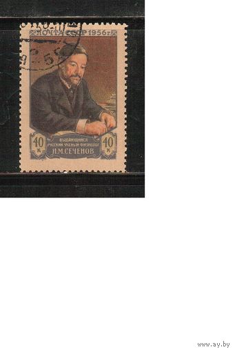 СССР-1956 (Заг.1803А) гаш.(с клеем) , линейка, И.Сеченов(одиночка)