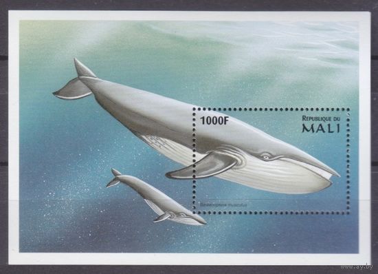 1997 Мали 1869/B113 Морская фауна - Киты 5,50 евро