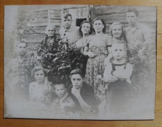 Фото в коллекцию