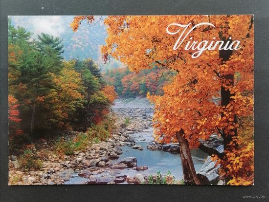 Открытка прошедшая почту. США. Virginia.
