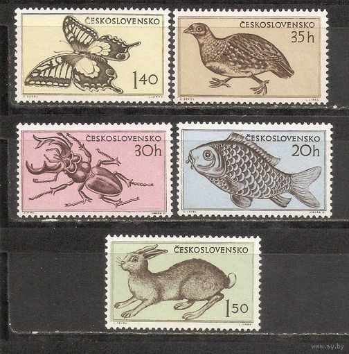 ФФ1 Чехословакия 1955 Фауна