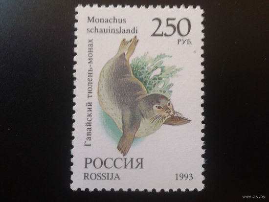 Россия 1993 тюлень**