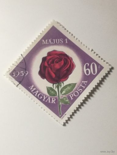 Венгрия 1959. День труда. Роза