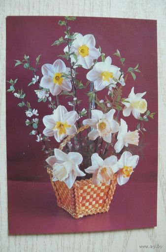 Костенко П, Композиция из нарцисов, 1992, чистая.