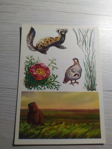 Открытка.