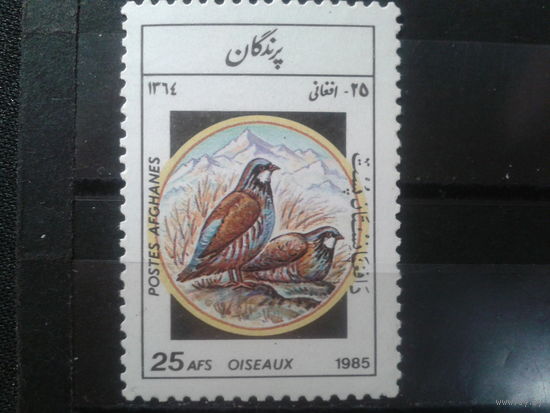 Афганистан, 1985. Чукарские куропатки**