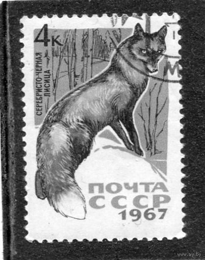 СССР 1967.. Пушные звери. Серебристо-черная лиса