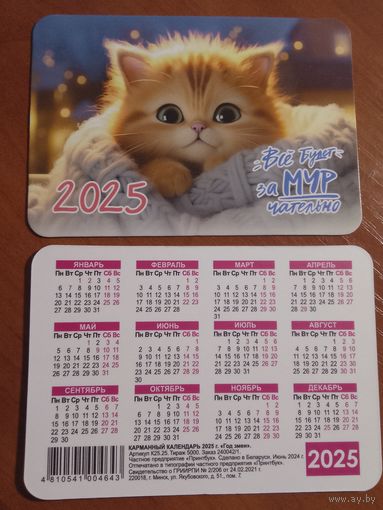 Карманный календарик. Котик. 2025 год
