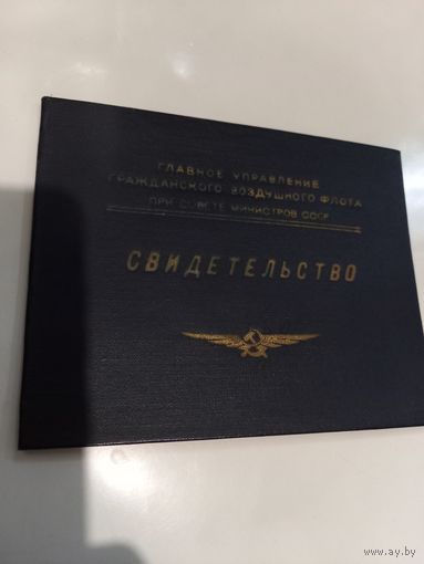 Свидетельство гражданской авиации