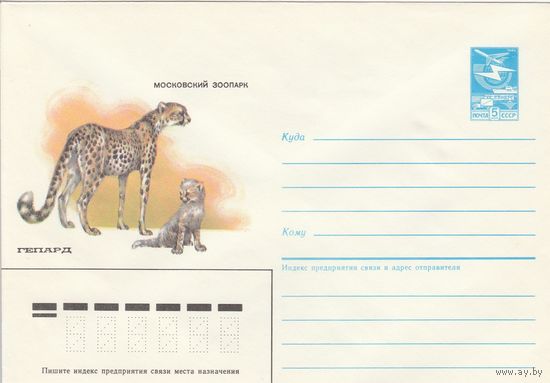 СССР 1985 МХК Гепард Московский зоопарк (к2а1)