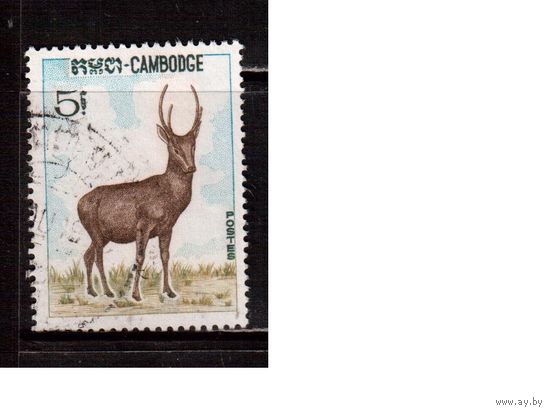 Камбоджа-1967,(Мих.213)  гаш. , Фауна, Олень