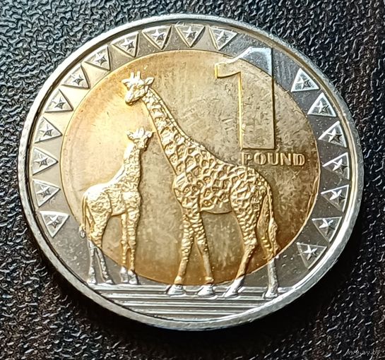 Южный Судан 1 фунт, 2015