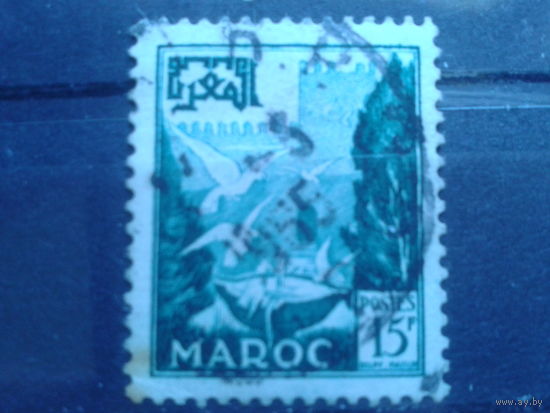 Марокко, 1952, голуби у Андалузского фонтана