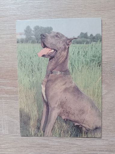 Календарик 1993