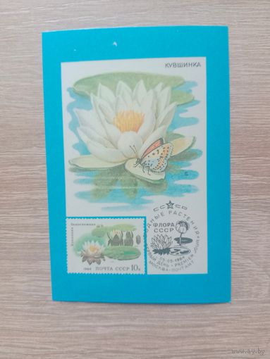 Календарик 1991