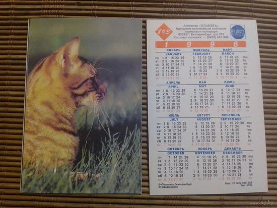 Карманный календарик.Котик.1996 год