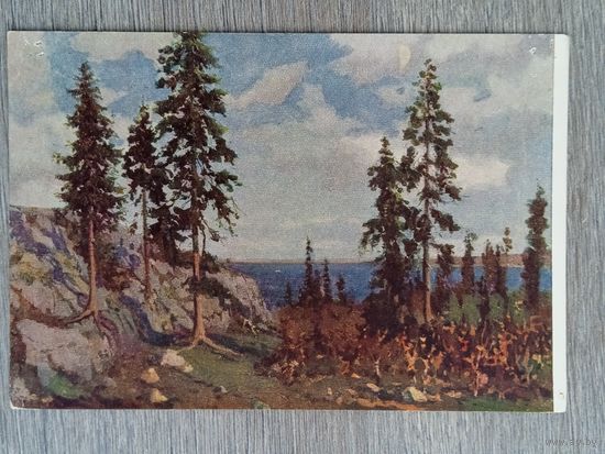 1953. Власов. Скалистый берег