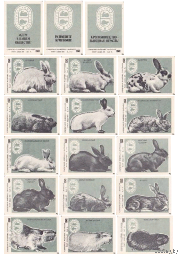 Спичечные этикетки ф.Барнаул. Роскроликозверовод. 1988 год