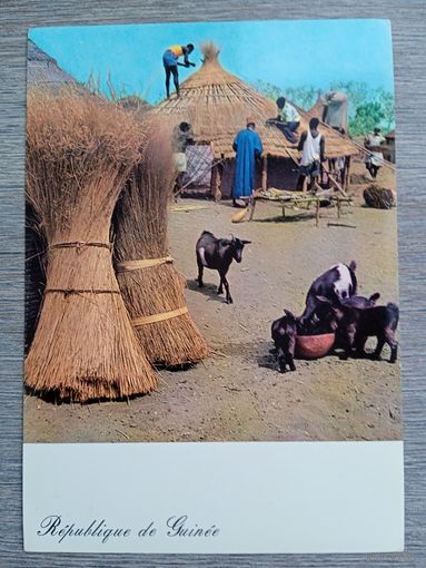 Этнография. Гвинея. Строительство в деревне