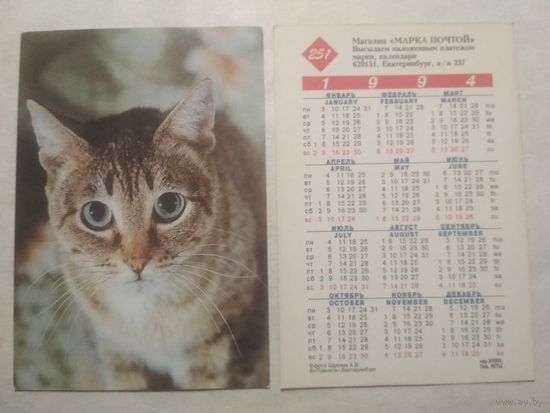Карманный календарик. Котик.1994 год