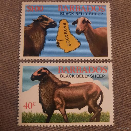 Барбадос 1982. Овцы. Black Belly Sheep