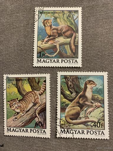 Венгрия 1979. Дикие животные. Марки из серии
