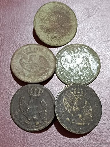 Наполеон 5 шт