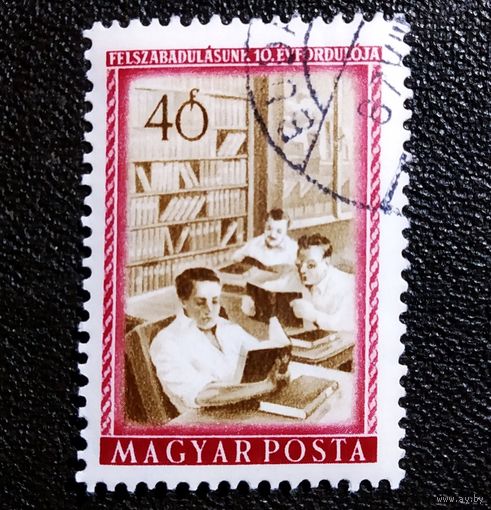 Марка Венгрия 1955 год 10 лет освобождения