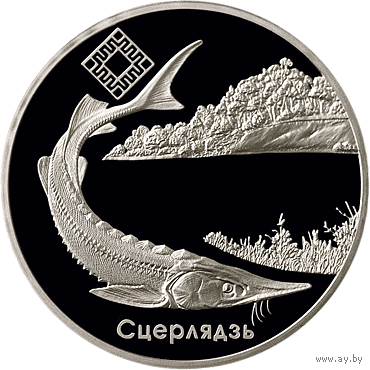 Торги. Серебро. Стерлядь, Заказник Днепро-Сожский . 20 рублей 2007 год . Заказнік "Днепра – Сожскі .