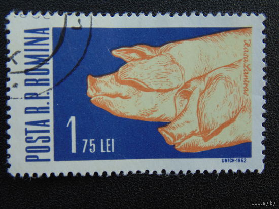 Румыния 1962г. Фауна.