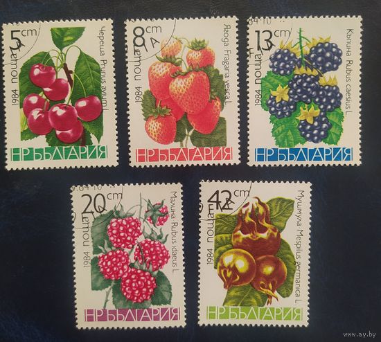 Болгария 1984 Ягоды.