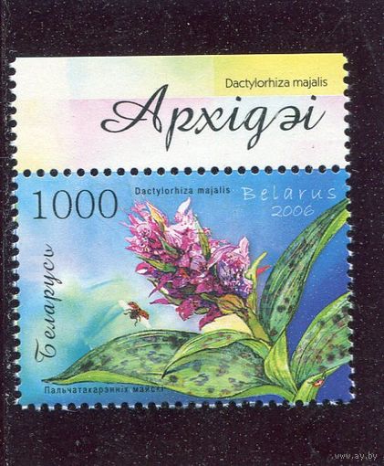 Беларусь 2006. Цветы. Орхидеи