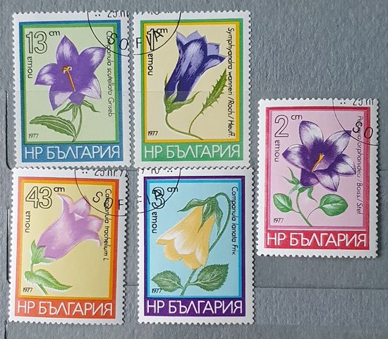 Болгария цветы 5шт
