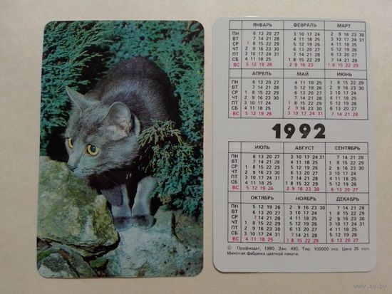 Карманный календарик. Котик.1992 год