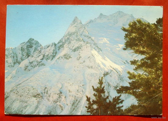 Донбай.Чистая. 1983 года. 1802.