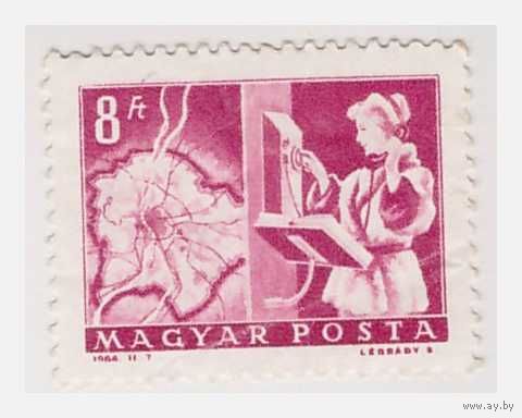 Венгрия Стандарт
