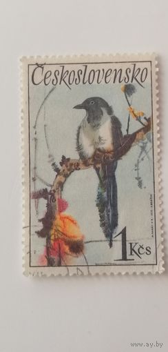 Чехословакия 1972. Певчие птицы