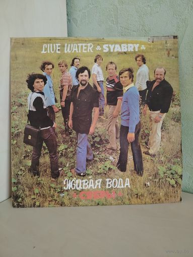 Пластинка. СЯБРЫ.