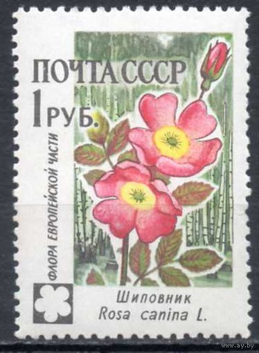 Флора СССР 1960 год 1 марка