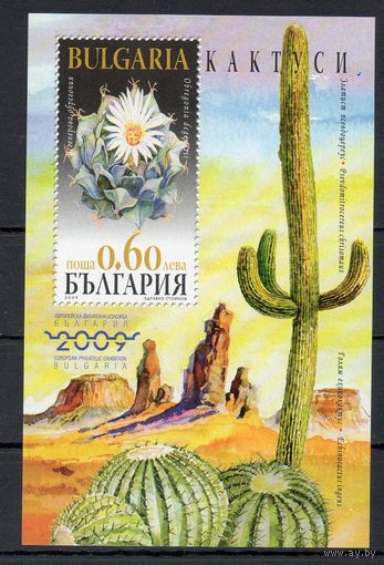 Кактусы Болгария 2009 год 1 блок