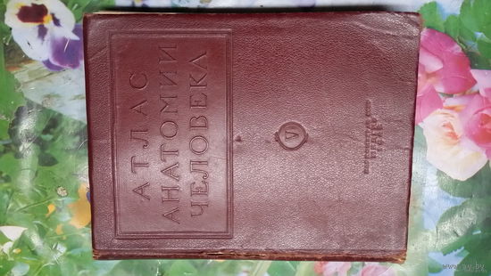 Атлас анатомии человека .Раритет . Том 5 . Издание 1942 года .