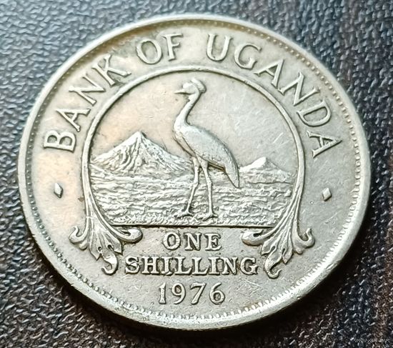 Уганда 1 шиллинг, 1976    ( 1-11-6 )